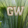GW Interior Designs
