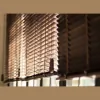 Saddleback Shutters & Blinds