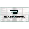 Blinds In Motion