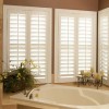 Shutters Cheap